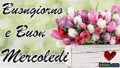 GIF Buongiorno e Buon Mercoledi