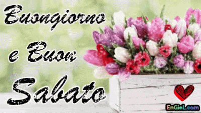 GIF Buongiorno e Buon Sabato