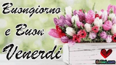 GIF Buongiorno e Buon Venerdi