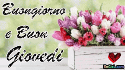 GIF Buongiorno e Buon giovedi