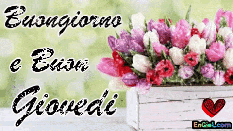 GIF Buongiorno e Buon giovedi