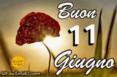 GIF buon 11 giugno