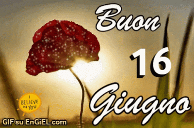 GIF buon 16 giugno