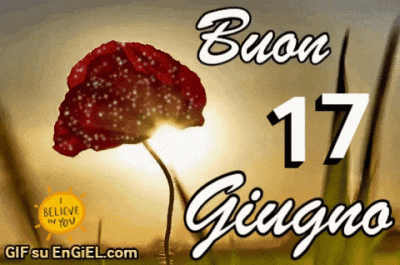 GIF buon 17 giugno