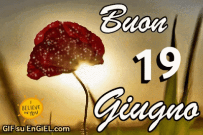 GIF buon 19 giugno