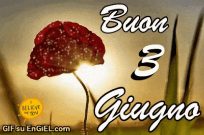 GIF buon 3 giugno