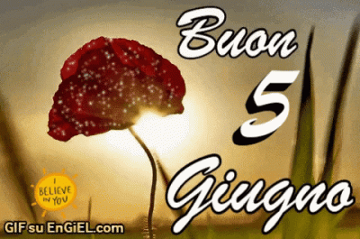 GIF buon 5 giugno