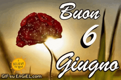GIF buon 6 giugno