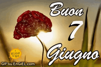 GIF buon 7 giugno