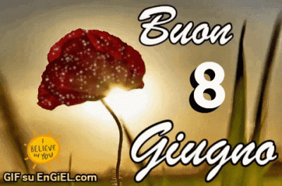 GIF buon 8 giugno