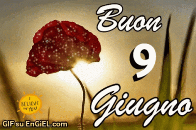 GIF buon 9 giugno