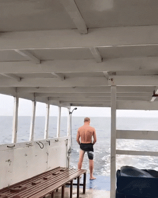 GIF divertenti