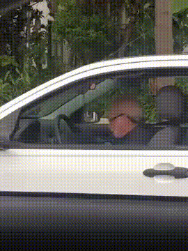 GIF divertenti