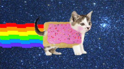 GIF nyan cat