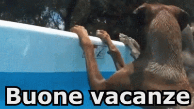 GIF Buone Vacanze