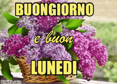 GIF Buongiorno e Buon Lunedi