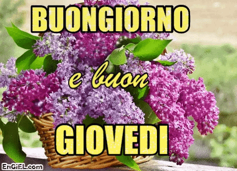 GIF Buongiorno e Buon Giovedi