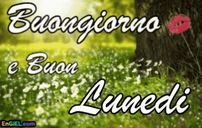 GIF Buongiorno e Buon Lunedi