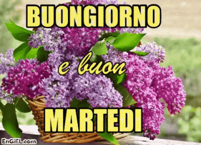 GIF Buongiorno e Buon Martedi