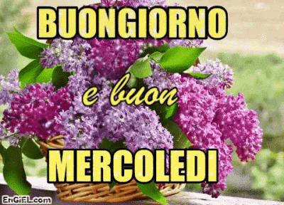 GIF Buongiorno e Buon Mercoledi