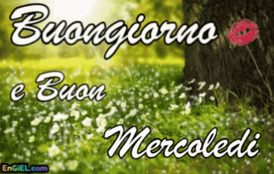 GIF Buongiorno e Buon Mercoledi