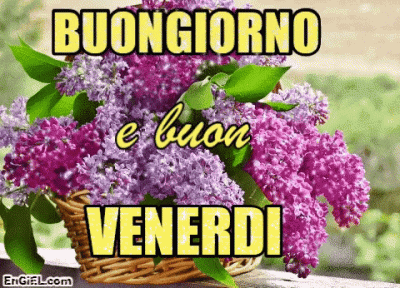 GIF Buongiorno e Buon Venerdi