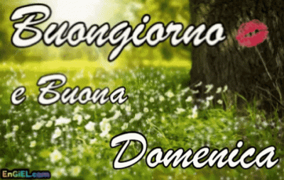 GIF Buongiorno e Buona Domenica