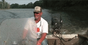GIF divertenti