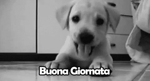 GIF Buona Giornata