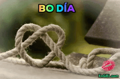 GIF bo día