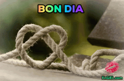GIF bon dia