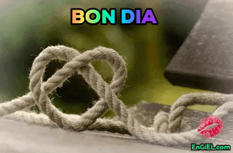 GIF bon dia