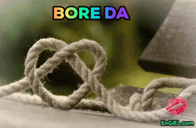 GIF bore da