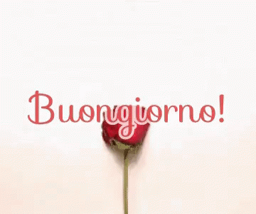 GIF Buongiorno