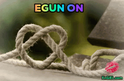 GIF egun on