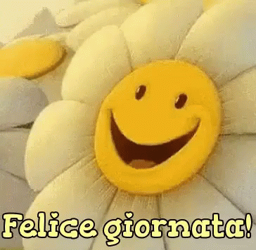 GIF felice giornata
