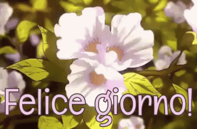 GIF Felice Giorno