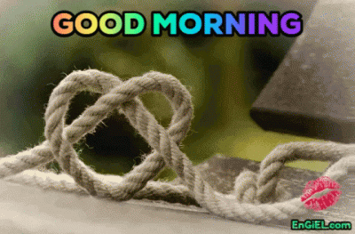 GIF good morning
