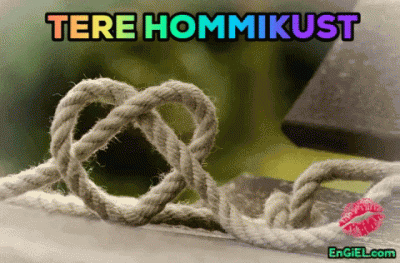 GIF tere hommikust