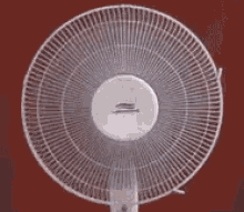 GIF Ventilatore