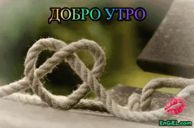 GIF добро утро