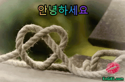 GIF 안녕하세요