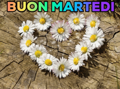 GIF Buon Martedi