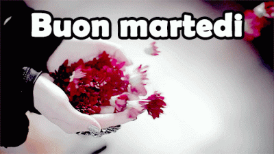 GIF Buon Martedi