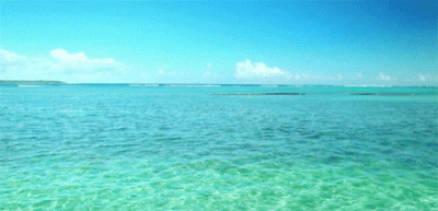 GIF mare acqua cristallina