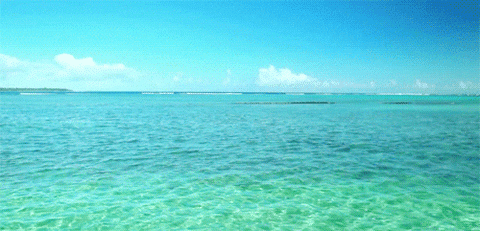 GIF mare acqua cristallina