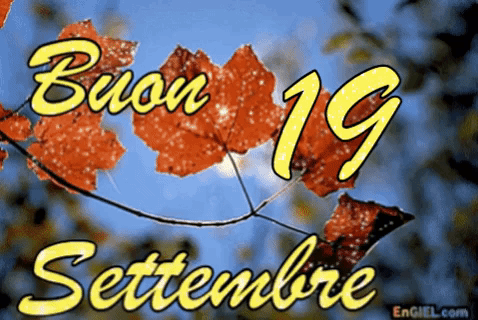 GIF Buon 19 Settembre