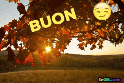 GIF buon lunedi