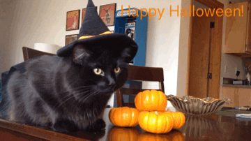 GIF Halloween