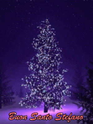 GIF Auguri di Buon Santo Stefano